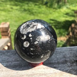 🌟3 for 25 Orthoceras fossil stone